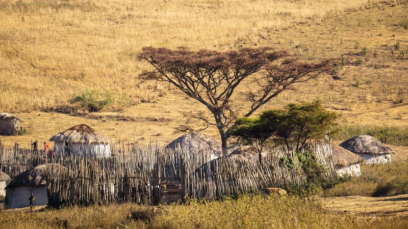 Maasai Mara National Reserve, Kenya